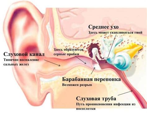 Важные советы при компрессии уха