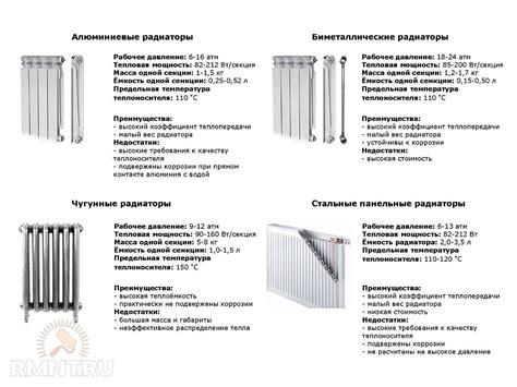 Важные характеристики, которые следует учитывать при выборе коровы