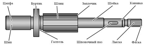 Вала и вала