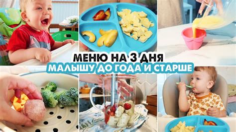 Варианты меню для малышей до года