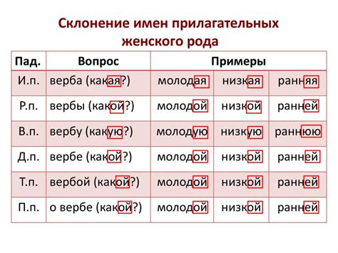 Варианты окончаний для существительных женского рода