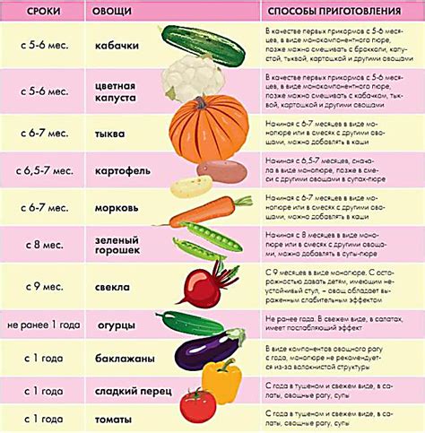 Варианты продуктов для прикорма после овощных пюре