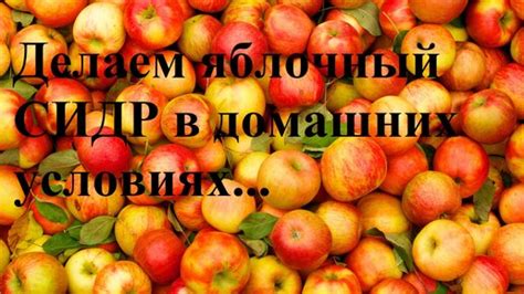 Варианты с добавлением природного сладкого вкуса в сидр без сахара