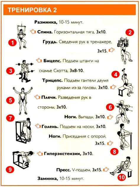 Варианты тренировок для улучшения аквилы