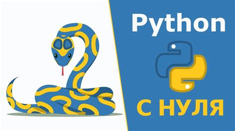 Вводный курс по основам Python для новичков