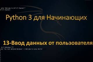 Ввод необходимых данных пользователя