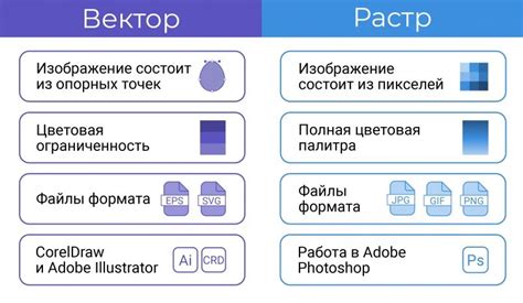 Векторная графика и ее применение в разных отраслях