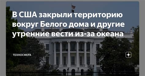 Вести профилактику шершней вокруг дома