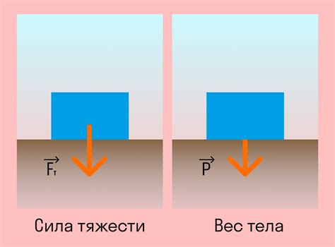 Вес и масса тела