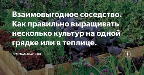 Взаимовыгодное соседство пользует обоих