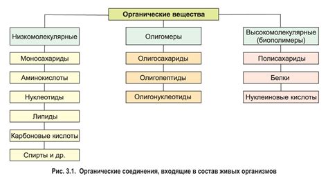 Взаимодействие молекул в живых организмах