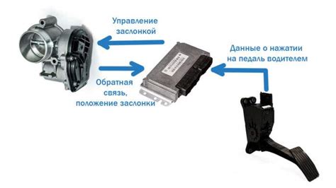 Взаимодействие педали газа с электронной системой управления