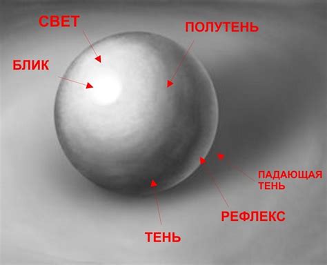 Взаимодействие цветов и тени