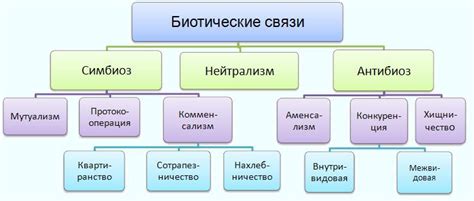 Взаимоотношение гуся и других персонажей