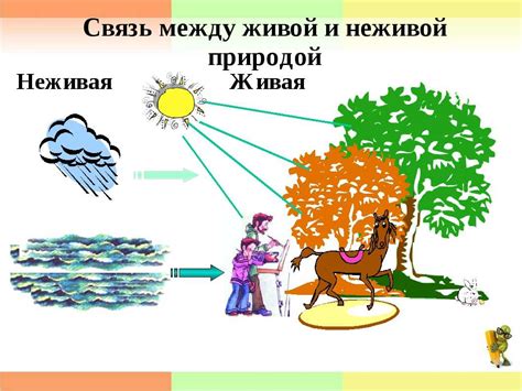 Взаимосвязь и взаимозависимость живой и неживой природы: баланс и последствия нарушений