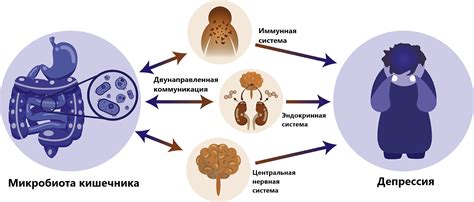 Взаимосвязь между ростом сопутствующей микрофлоры и иммунной системой