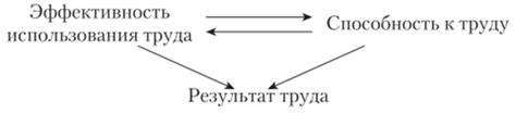 Взаимосвязь эффективности и производительности труда