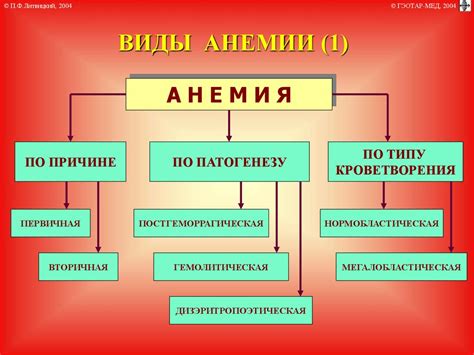 Виды анемии