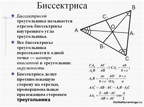 Виды биссектрис треугольника