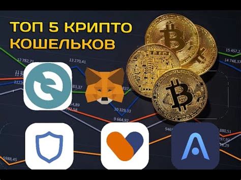 Виды биткоин-кошельков: холодные и горячие