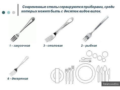 Виды вилок с двумя плоскими штырями