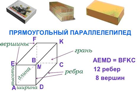 Виды граней прямоугольного параллелепипеда