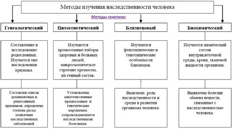 Виды исследований в биологии