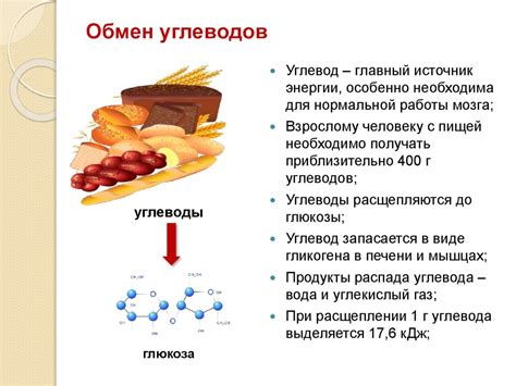 Виды обмена веществ