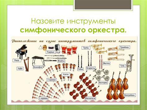 Виды оркестров и их особенности