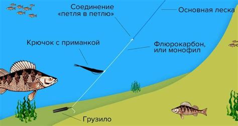 Виды оснасток для ловли леща на пшеницу