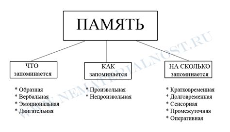 Виды памяти