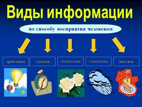 Виды полей в информатике