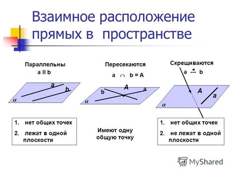 Виды прямых на плоскости