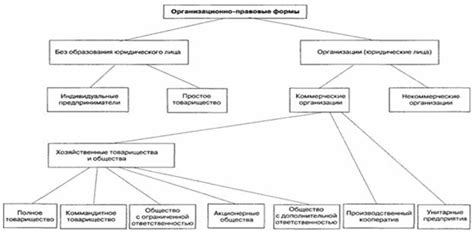 Виды типов организаций