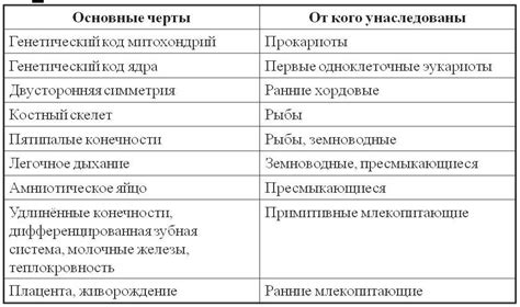 Вид и форма: основные различия и сходства