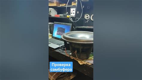 Визуальная проверка состояния сабвуфера