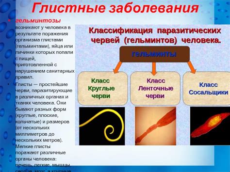 Визуальные признаки поражения организма глистами