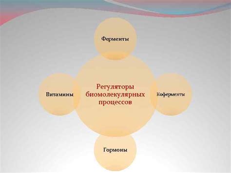 Витамины - регуляторы жизненно важных процессов