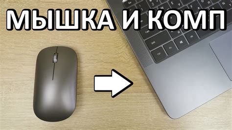 Включение тачпада на MacBook: подробная инструкция для новичков