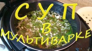 Вкусные куриные желудки с овощами в мультиварке Редмонд