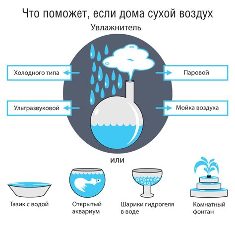 Влажность воздуха и растения в квартире