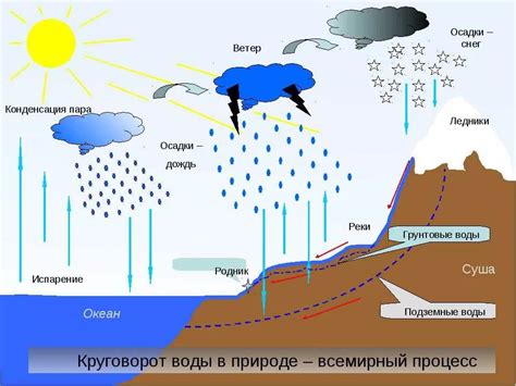 Влажность и количество осадков