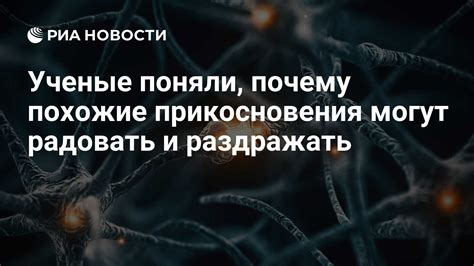 Власть и контроль: как прикосновения могут влиять на нашу психику