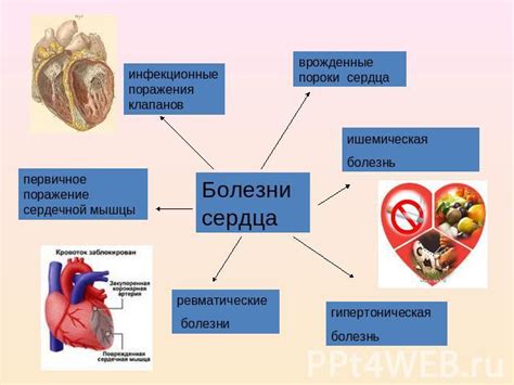 Влияние Диабетона на сердечно-сосудистую систему