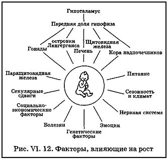 Влияние ПГМ на рост и развитие