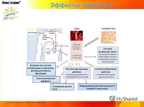 Влияние ПГ гормона на репродуктивную функцию