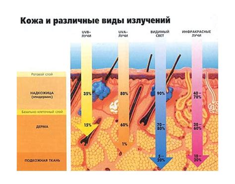 Влияние автозагара на кожу