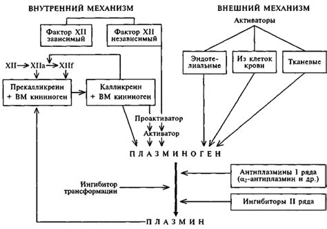 Влияние активации плазминогена на фибринолиз