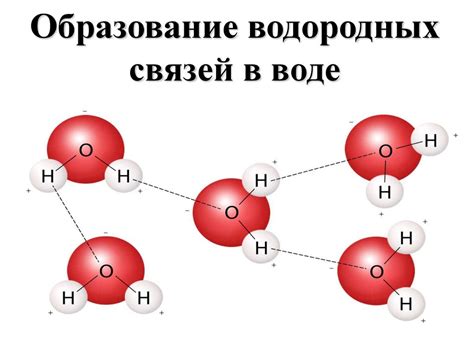 Влияние аминокислотного состава на образование водородных связей