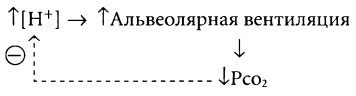 Влияние атмосферы на дыхательную систему